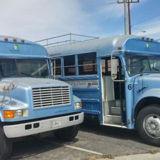 blue school buses on road