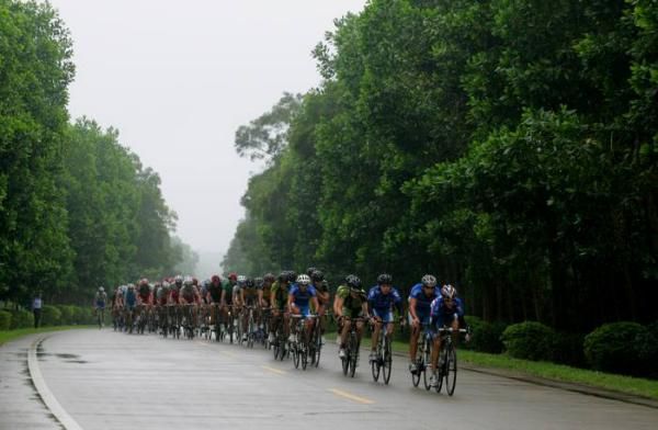 The peloton ride along the tree line route.