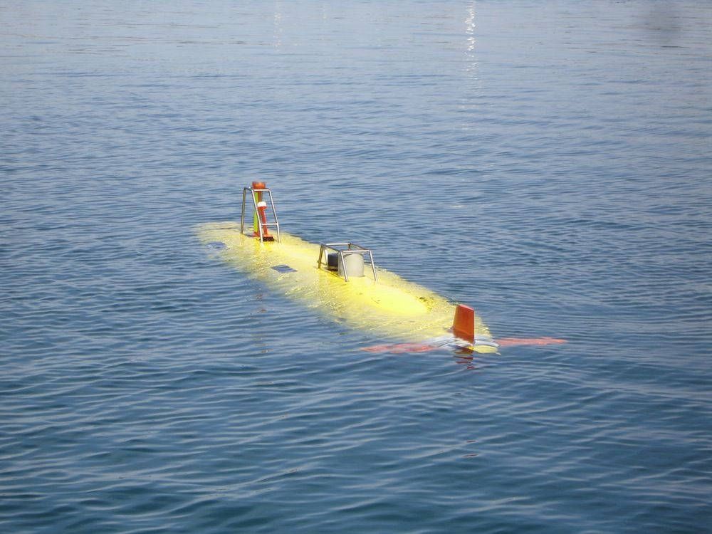 whoi submersible remus