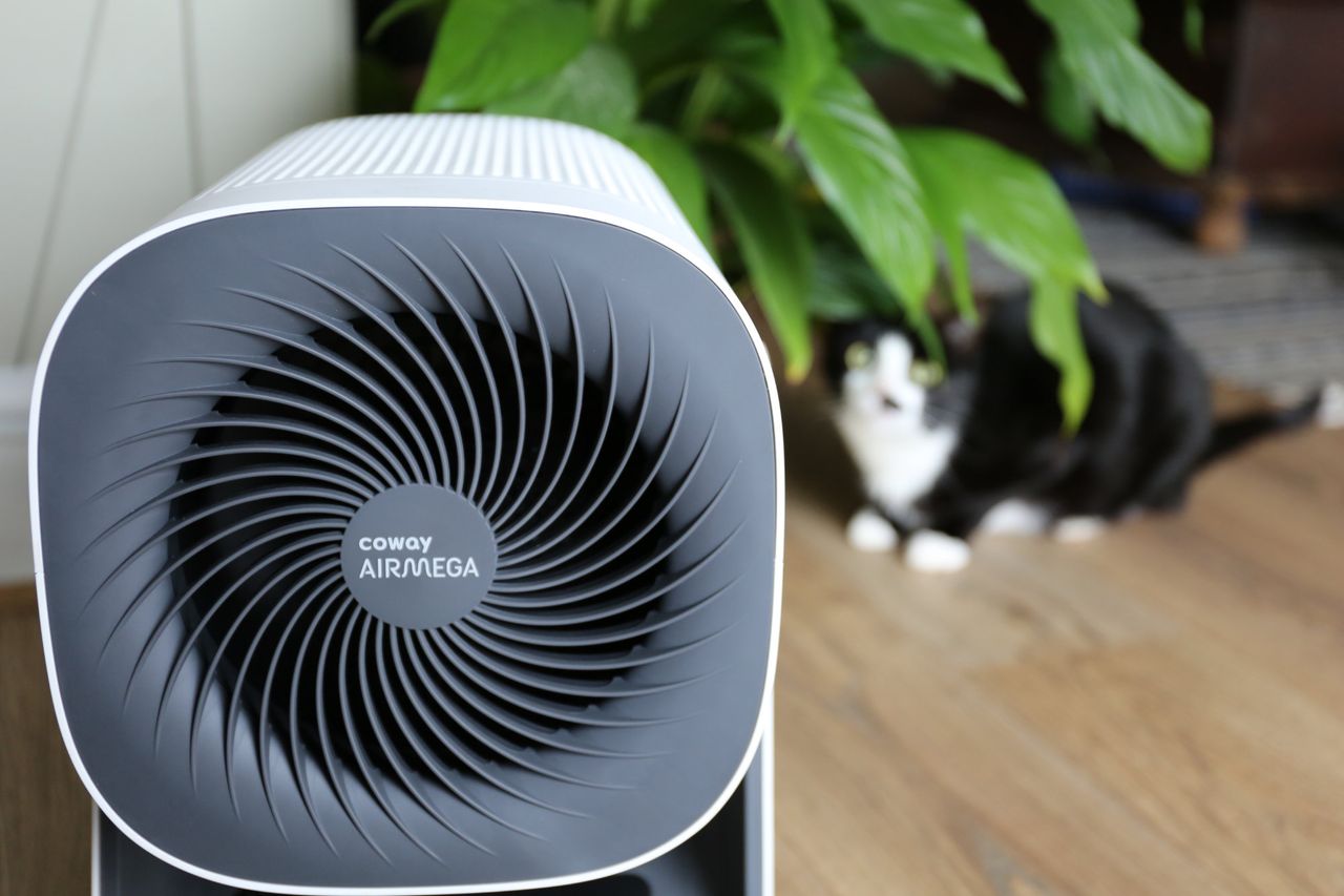 How To Choose The Right Air Purifier For Your Home Homes And Gardens how-to-choose-the-right-air-purifier-for-your-home-homes-and-gardens