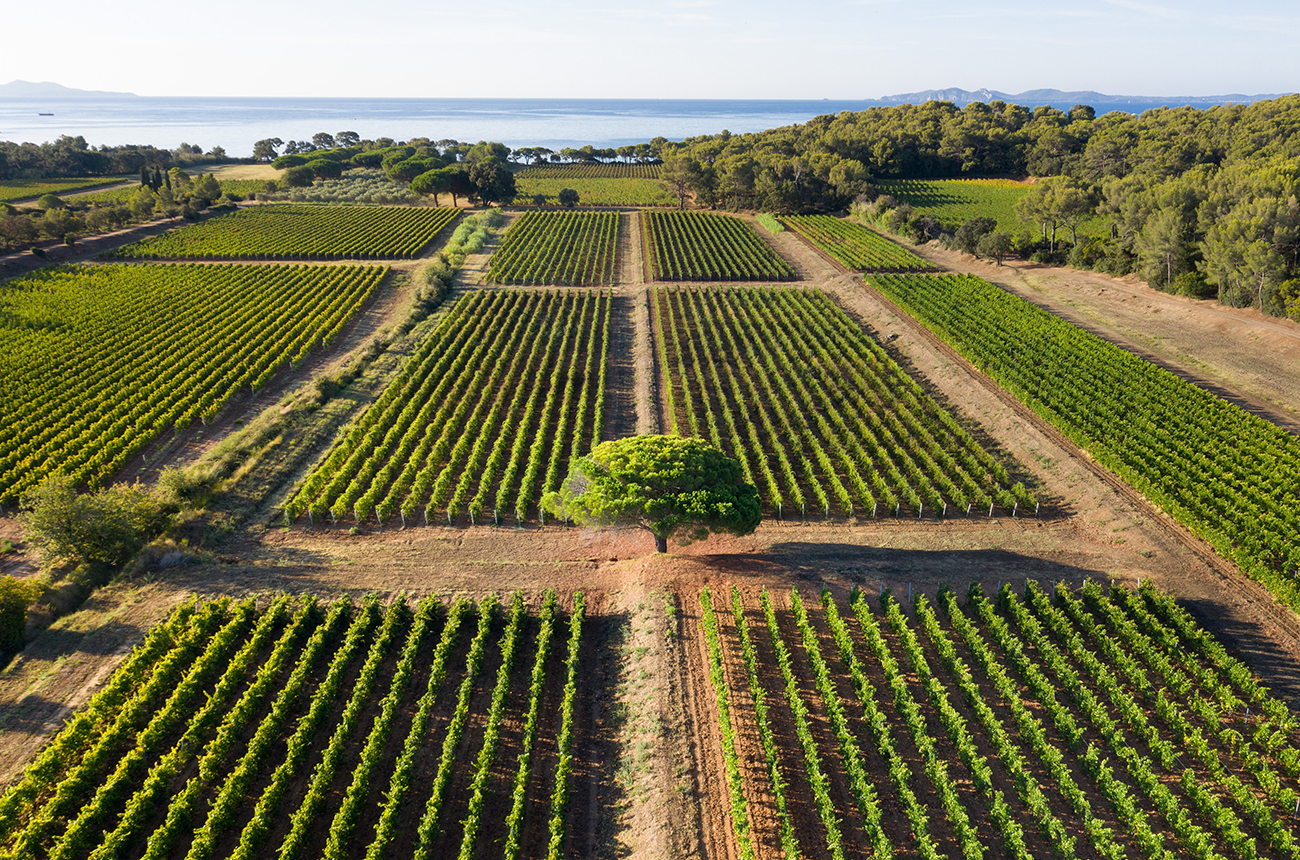 Provence cru class&eacute;