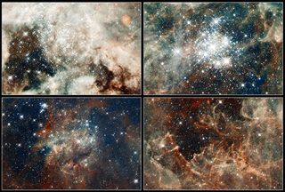 These four Hubble Space Telescope views are part of a massive mosaic of the Tarantula nebula released on April 17, 2012. They show: the young star cluster NGC 2070 (top left), star cluster NGC 2060 (bottom left), Hodge 301 star cluster (top right), and the region RMC 136, which is home to massive stars.