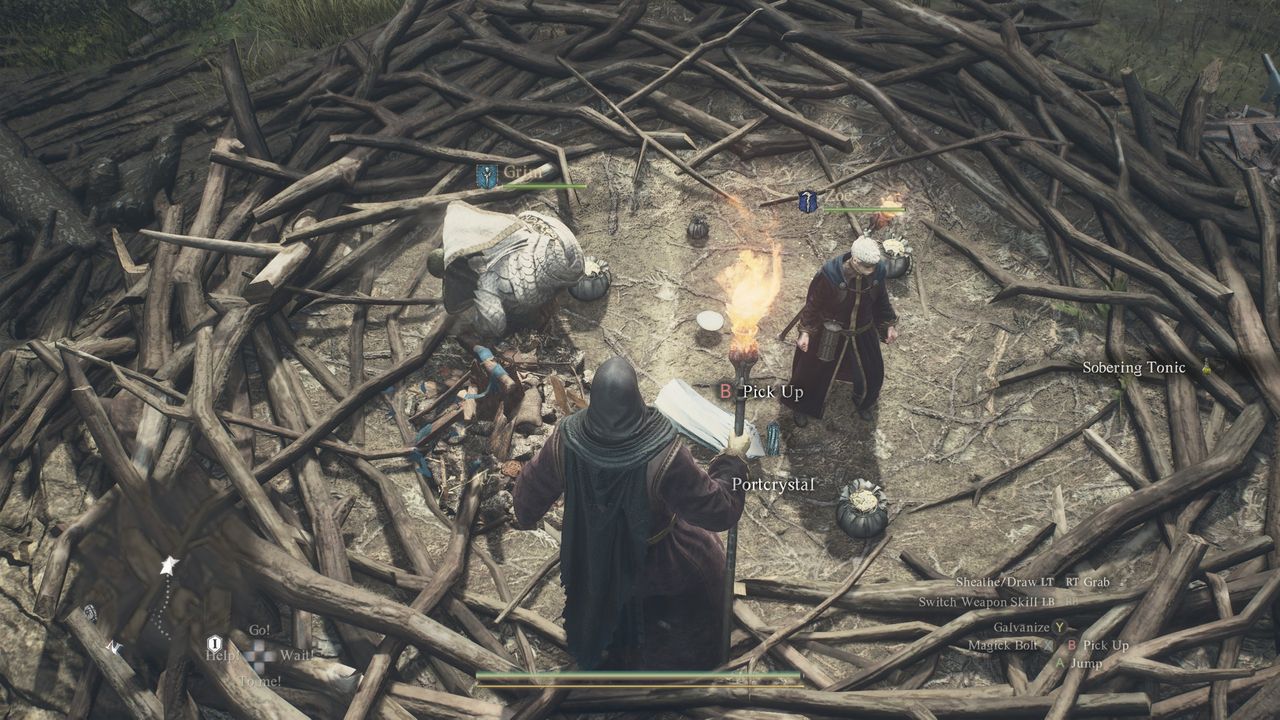 Dragon's Dogma 2 Portcrystal in a nest