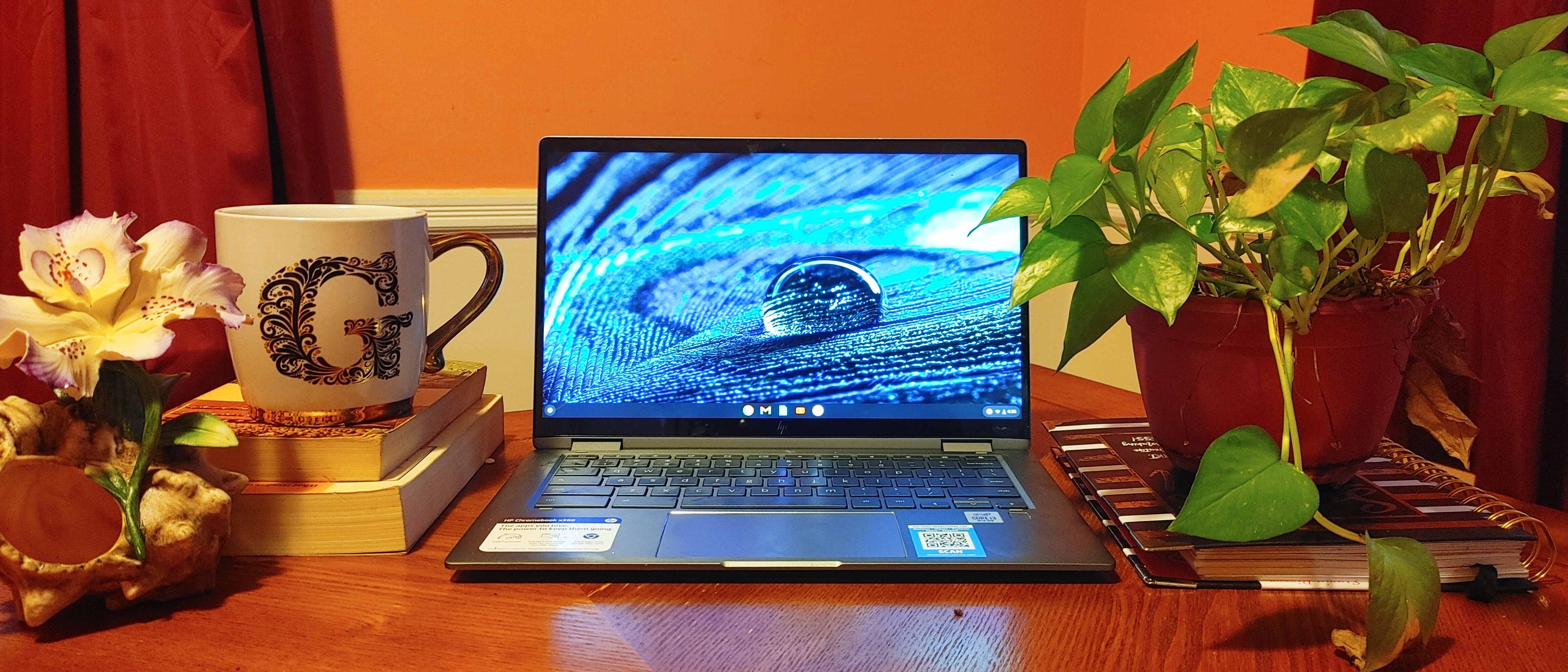 HP Chromebook x360 14c review | Laptop Mag