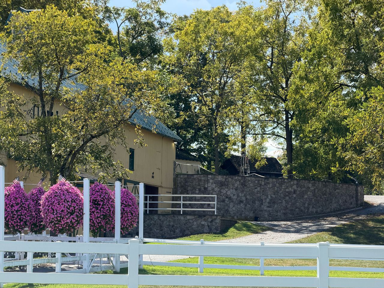 Apple iPhone 17 Pro REVIEW photo samples