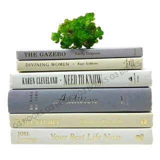 Gray Ivory White Decorative Books