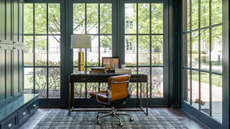 A home office that looks outdoors with a floor to ceiling storage cabinet