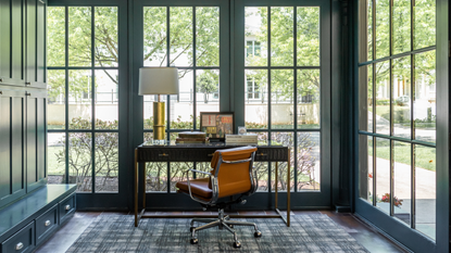 A home office that looks outdoors with a floor to ceiling storage cabinet