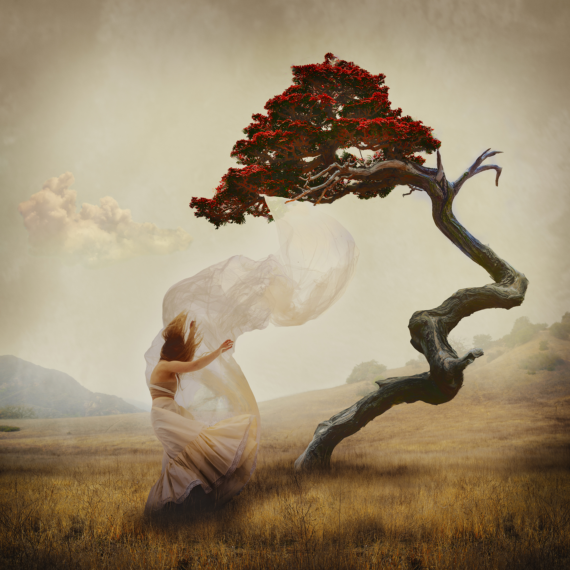 A photograph from Brooke Shaden's portfolio