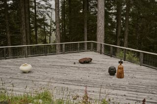 Jinen exhibition on show outside at Salmon Creek Farm