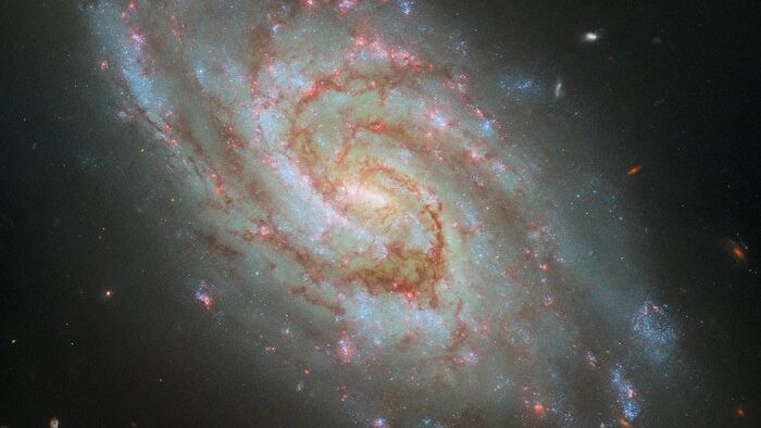 Hubble House Telescope spies a spiral galaxy in a cosmic ‘clock’