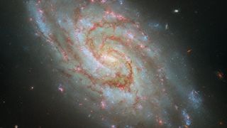 A dazzling spiral galaxy of bright blue and dark red gasses with spurts of pink.