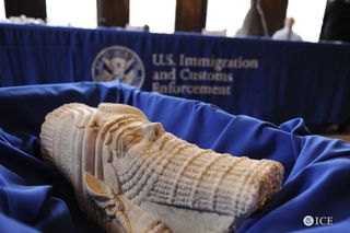 A sculpture of a head was smuggled into the United States around the time of the 2003 U.S. invasion of Iraq.