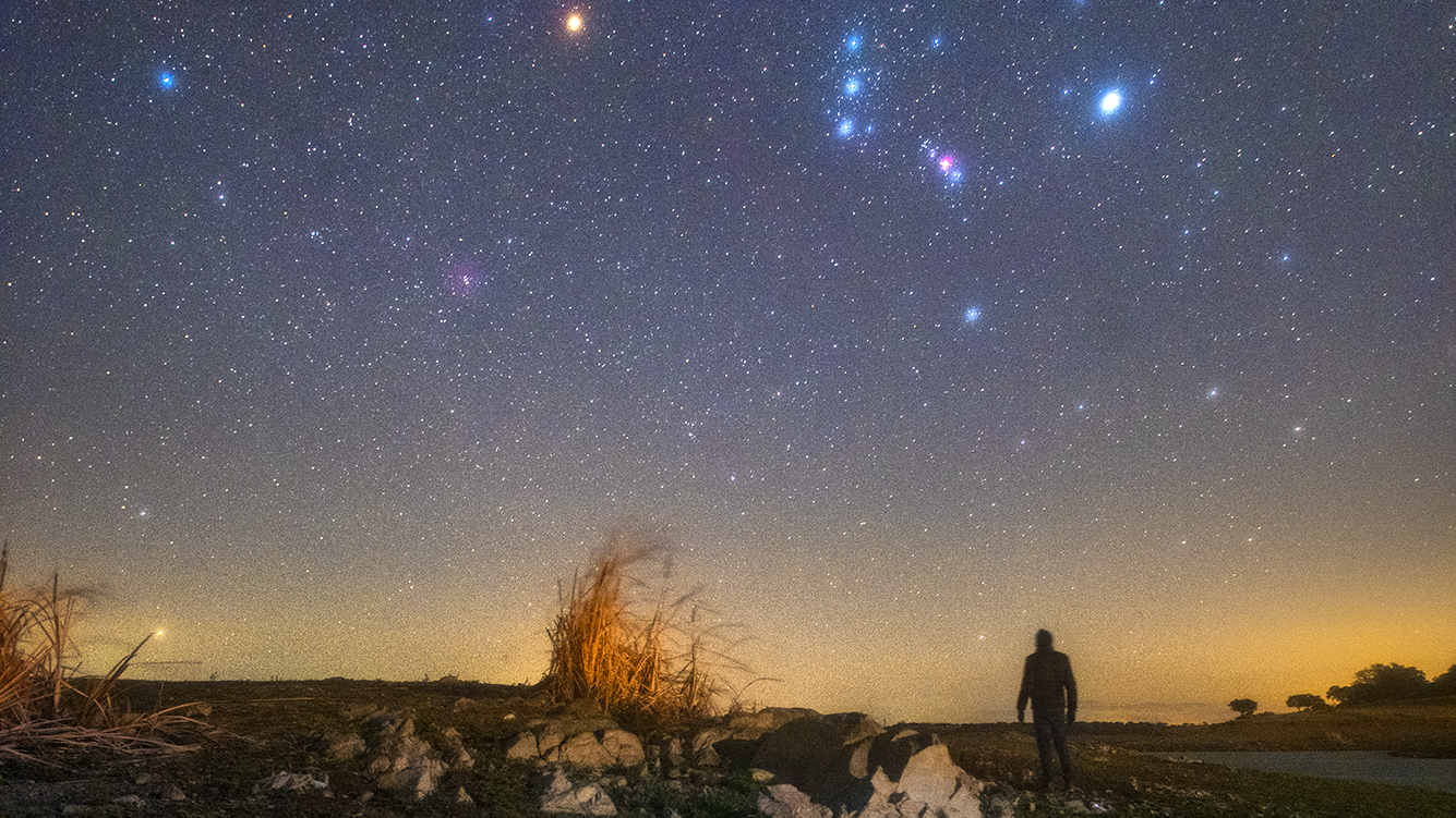 Orion and its dimming star Betelgeuse shine over a stargazer in this sentimental night-sky photo Space