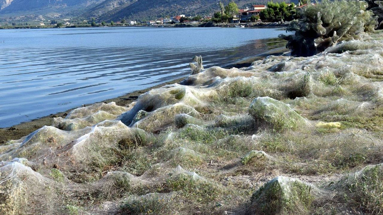 Greek town spider webs