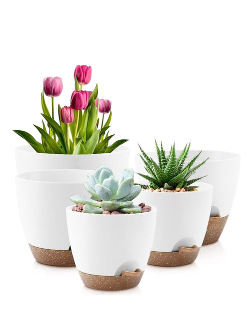 Self-Watering Plant Pots With Drainage, Set of 5