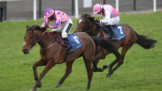  Storm Arising ridden by Bryony Frost go on to win the Coral 'Fail To Finish' Free Bets Handicap Hurdle during the Coral Welsh Grand National day at Chepstow Racecourse