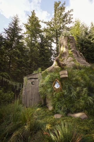 Shrek's swamp on Airbnb