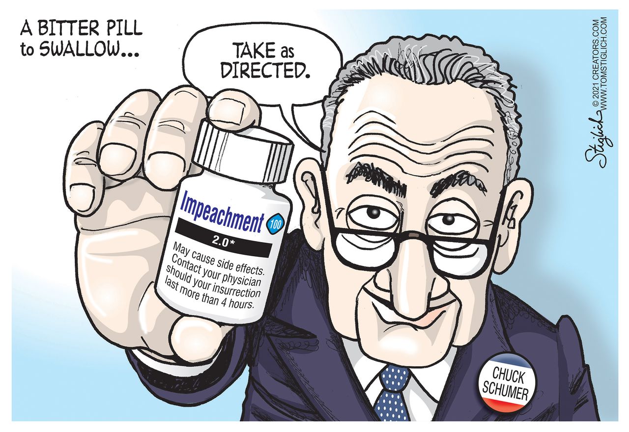 Political Cartoon U.S. Schumer impeachment