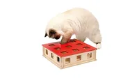 Best interactive cat toy: White cat playing with the Ferplast Magic Box Clever And Happy Cat Toy