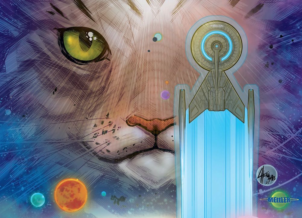 Grudge, Star Trek&#039;s latest cat, will star in the new limited IDW comic series &quot;Star Trek: Discovery - Adventures in the 32nd Century.&quot;