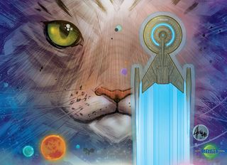 Grudge, Star Trek's latest cat, will star in the new limited IDW comic series "Star Trek: Discovery - Adventures in the 32nd Century."