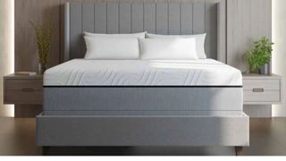 A deep gray mattrss with a white top and b;ack trim sits on top of a gray bed foundation. The bed is placed in a neutrally decorated bedroom with wooden bedside tables.