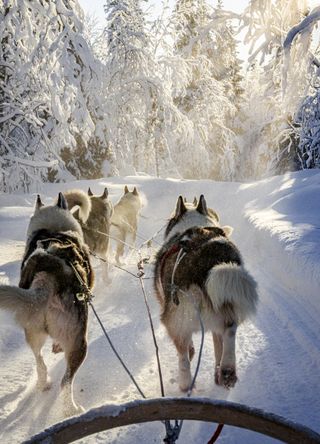 Lapland, Finland