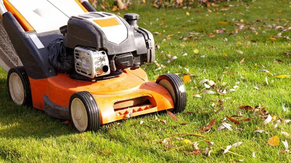 Expert reveals the exact temperature you should stop cutting your grass T3