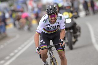 World champion Peter Sagan (Bora-Hansgrohe) on the move
