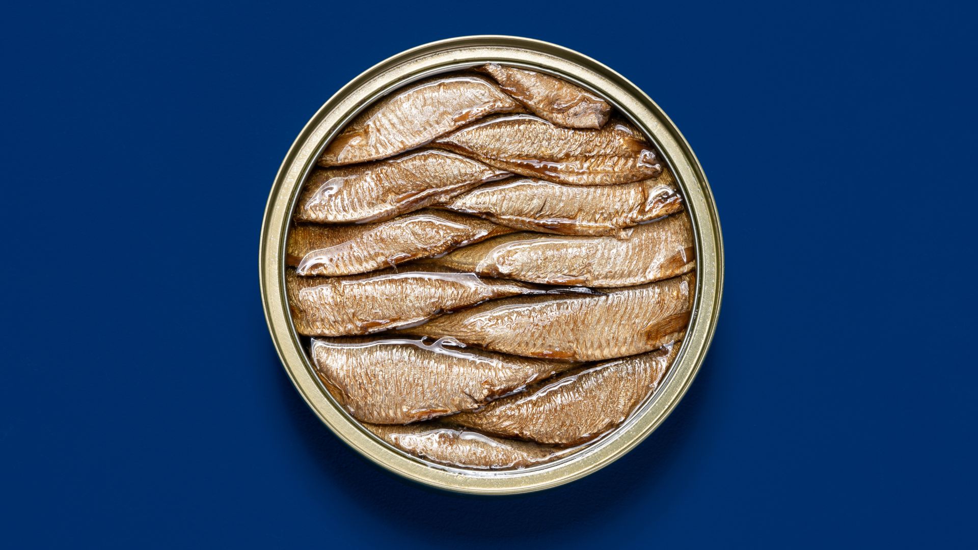Oily fish in tin