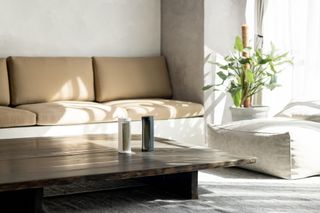 a moss air humidifier in a modern room