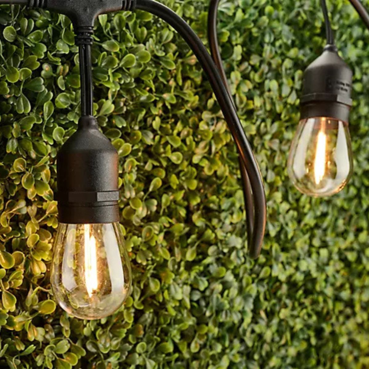 Garden fairy lights
