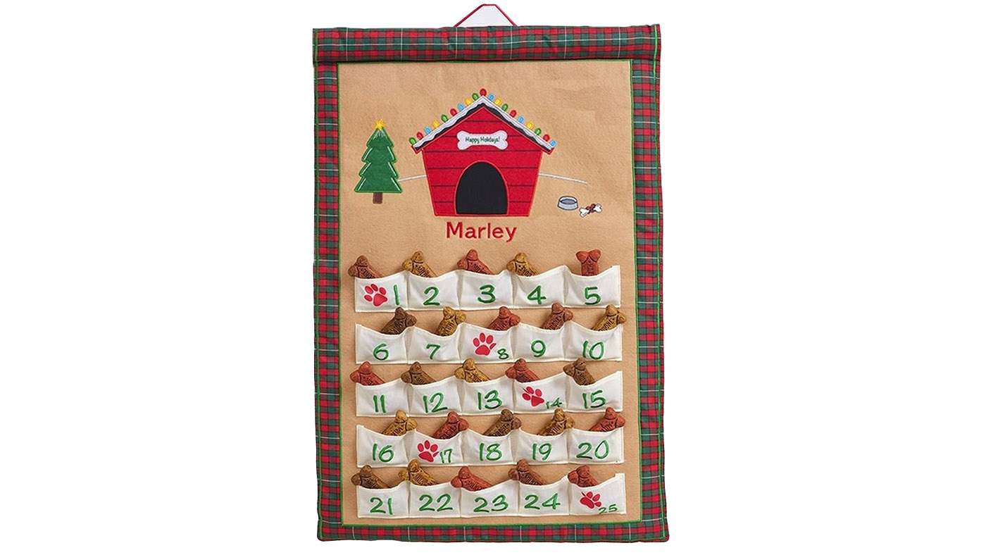 Personalised doggy Advent calendar