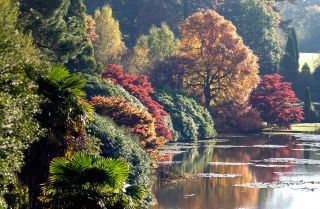 Glorious autumn colour tints leaves at Sheffield Park Gardens near Haywards Heath, East Sussex.