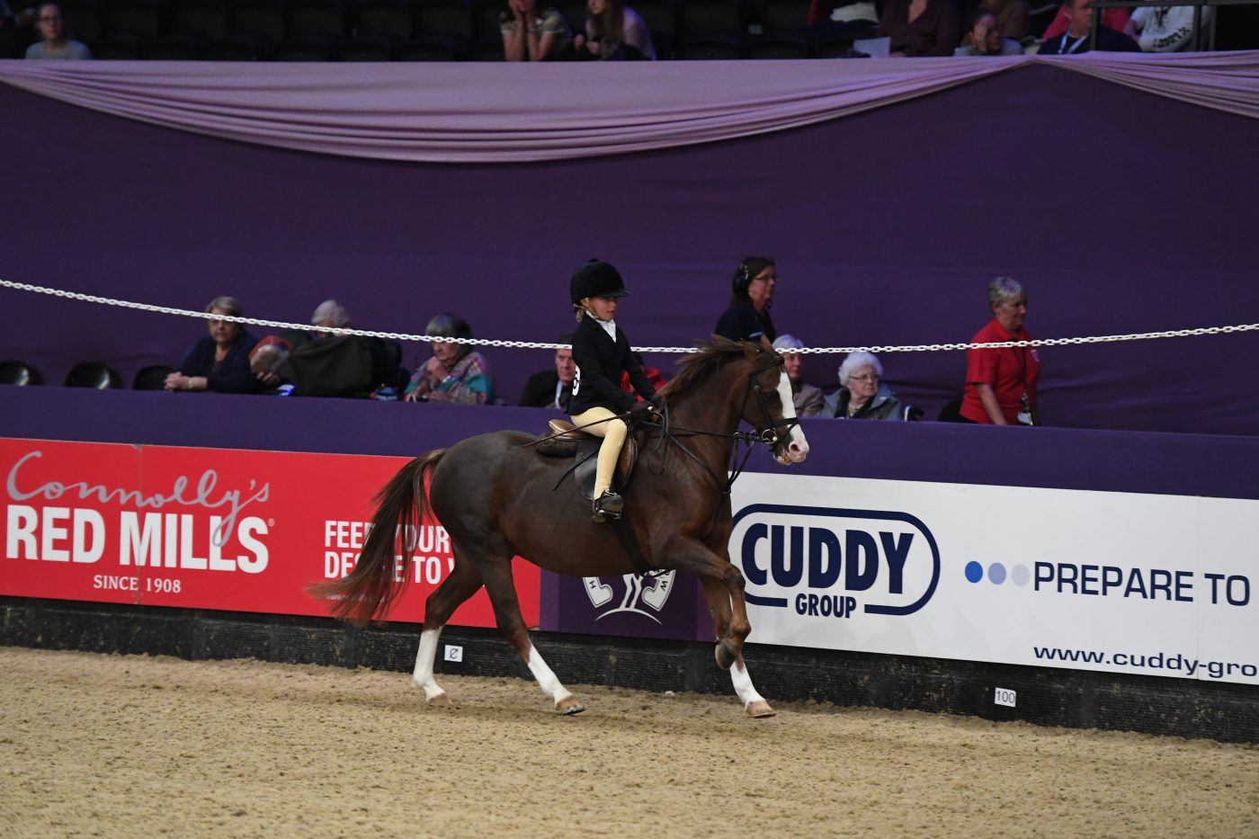 MM-WHP-Champ_HOYS_19PN_143090-e1570528154832.jpg