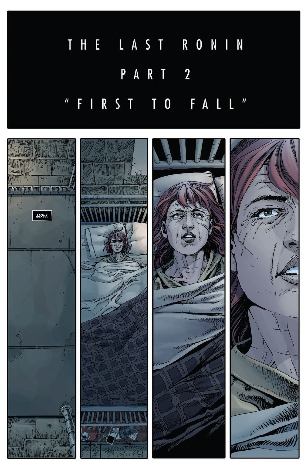 Teenage Mutant Ninja Turtles: The Last Ronin #2