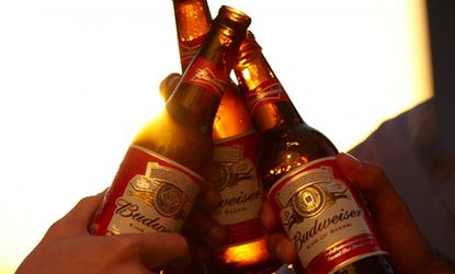 Budweiser beer