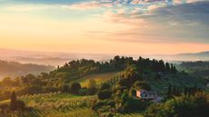 Tuscan landscape at dawn with rolling green hills