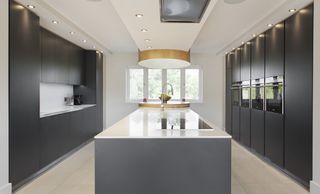 a modern kitchen idea for built in floor-to-ceiling cabinetry