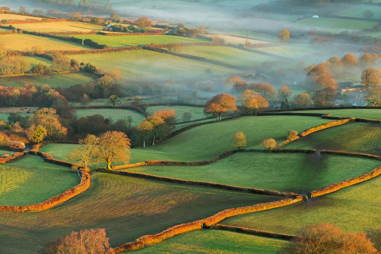 A new dawn at last? Early morning sunshine bathes the rolling farmland of Dartmoor.