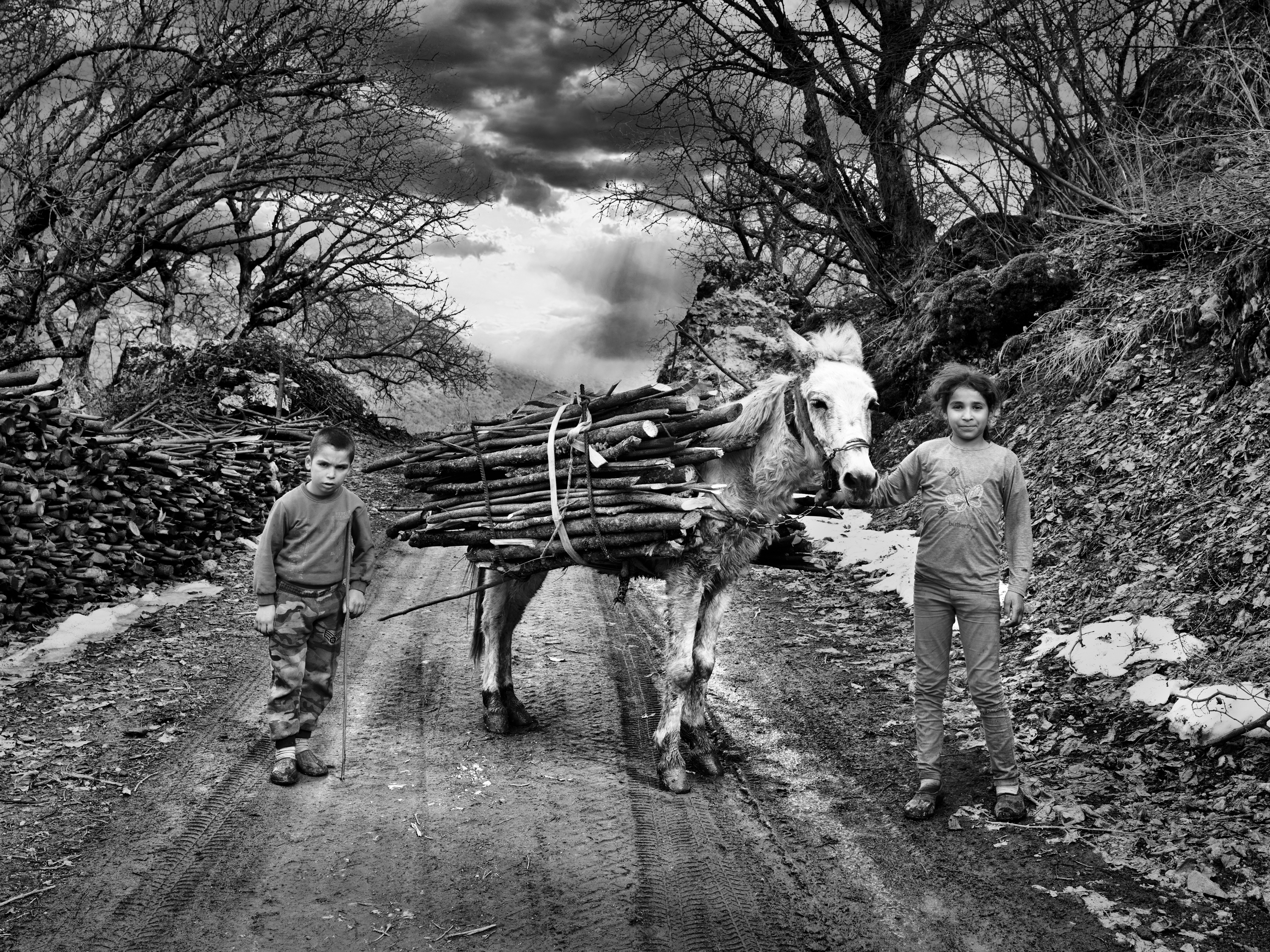 Black and white photograph of two children on a forest track with a donkey laden with bundled firewood, storm light breaking through bare trees behind them.