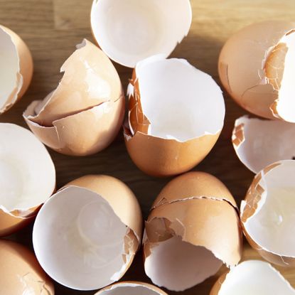 Eggshells on a table