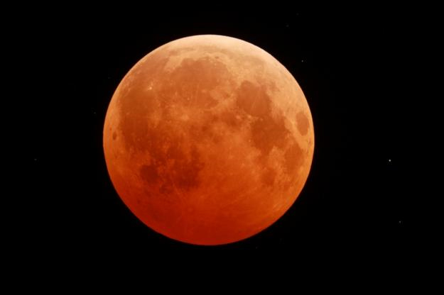 Photo of the Dec. 20 total lunar eclipse from Cochranville, Pa. taken by Kevin R. Witman, using a Meade LX50 10