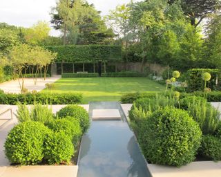Topiary in different shapes in a garden design by Charlotte Rowe Garden Design