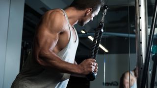 an image of a man doing triceps pull down in the gym