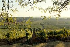 SAINTE CROIX DU MONT