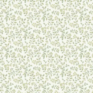 Blossom Trail by Albany - Sage - Wallpaper - Ic3014