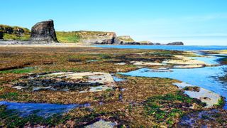 Campsites by the beach: rock pools at low tide at coastal campsite Saltwick Bay