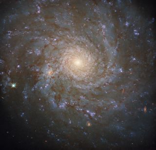 A full view of the spiral galaxy NGC 4571 as spotted by the Hubble Space Telescope